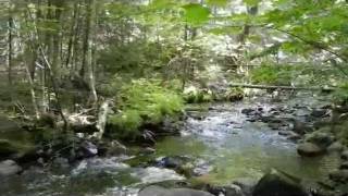 Terrains et lots a vendre St-Donat, Lanaudière, Laurentides Québec, Canada