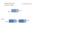 Doubly Linked List