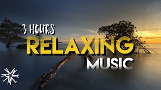 3 Hours of peaceful Relaxing music for sleeping , meditation , focus , thinking , studying , healing