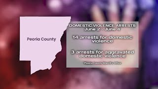 Peoria County Sheriff: 17 people arrested on domestic violence charges last weekend