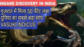 scientists discover enormous fossil of the world’s largest snake in kach ,Gujrat | गुजरात