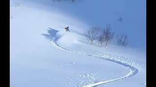 テレマークスキーパウダー滑降 （白馬乗鞍岳＆裏天狗 2017/1/18）Real Japowder  in HAKUBA