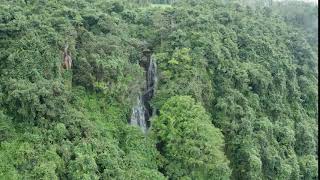 Mandasaru Waterfall Aerial Video - 4K Stock Footage - Item #147