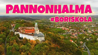 Lecsengés boriskola - Pannonhalmi borvidék