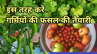 गर्मियों की सब्जियों की तैयारी।। preparation of summer vegetables