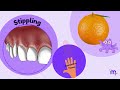 correlation of the macroscopic u0026 microscopic features of the gingiva periodontology animated