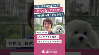 「イボの色」でわかる？！愛犬の不調のサイン