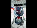 how to set up a hookah quick shisha tutorial