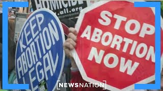 Should Republicans, Democrats address abortion rights in 2024 election? | Morning in America