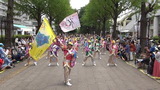 礼神伝シャル響 @ よさこい祭りin光が丘 (ふれあいの径パレード会場) 2017-07-16T12:00