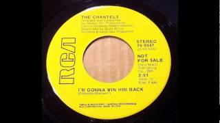 Chantels - I'm Gonna Win Him Back - 1970 RCA 74-0347.wmv