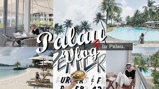 PALAU VLOG 🏝 一起去帛琉水母湖浮潛、夕陽海景餐廳｜夢露 MONROE