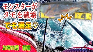 [ 地磯 フカセ釣り ] 寒グレ 開幕戦、東伊豆 のモンスターが タモ破壊←ただタモ入れが下手なだけ。メジナも獲れたよ！