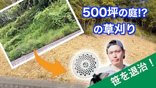 【500坪の庭】自宅裏山の草刈り。2日間ひたすら笹を刈る！