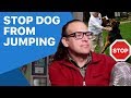 How to stop a jumping dog, dog training tips. Stopped in 1 second. How to stop a jumping dog, dog training tips. Stopped in 1 second.