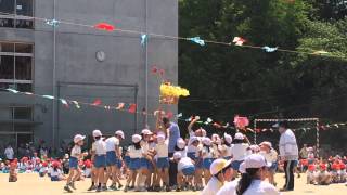 真夏の運動会　2015　玉入れ