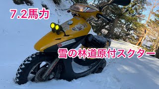 ライブディオZXで積雪30㎝近くの林道極を行けるとこまで行く