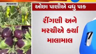 Bhavnagar: Meet a farmer who grows more crops with less water - Zee 24 Kalak