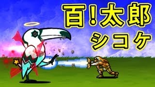 【雑改造の夢】百！太郎 最強気功 エリア22消毒する 【BattleCatKing】