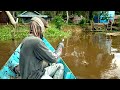 Best momen! Spot² udang galah terbaik di sungai mentaya