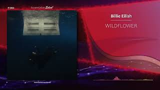 Billie Eilish - WILDFLOWER |[ Indie Pop ]| 2024