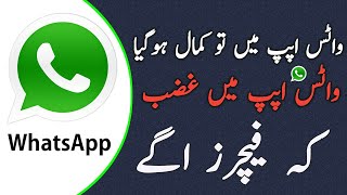 WhatsApp Intersting Features | Search Profile Whatsapp | Sticker Fonts