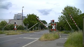 Spoorwegovergang Badbergen (D) // Railroad crossing // Bahnübergang