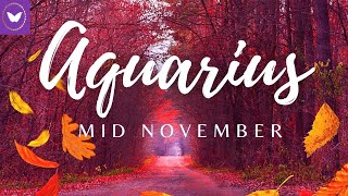 Aquarius your heading in right direction to receive what you desire!💖✨Tarot Reading 2021