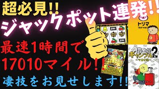 【トリマ】最速１時間で17,010マイル獲得の超攻略技をお見せします!!