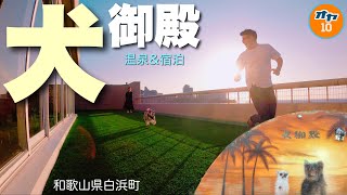 【のんびり夫婦旅】大浴場以外どこでもペットと過ごせる温泉宿！その名も・・・『犬御殿』！〜和歌山県西牟婁郡白浜町〜