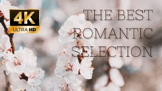 Romantic flowers - The best romantic pieces of classical music (4K)