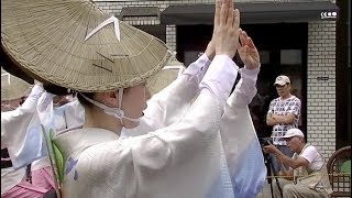 東京神楽坂連　流し　2017 白金阿波踊り