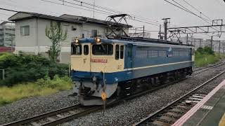 [EF65 単機]10月17日新川崎駅 新鶴見A51運用 臨8584レ EF65 2088