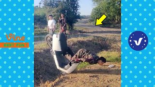 Funny & Hilarious  People's Happy Life #26 😂 Try Not To Laugh Funny s 2024
