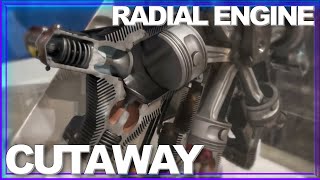 INSIDE LOOK: How a Radial Engine Works AMAZING Cutaway in Motion