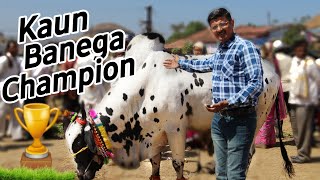 कौन बनेगा चैंपियन ? Who will become Dangi Exhibition CHAMPION | Episode -13 ( Part - 1 ) | #savecow