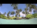 Palmyra atoll: Coast Guard pit stop.