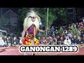 GANONGAN ROGO SAMBOYO PUTRO LIVE KASEMBON MALANG