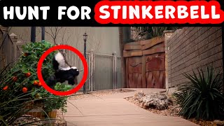 Bushman Prank: Release the Skunk 2025!!