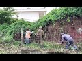 Terrified Disaster | Cleaning Up the Abandoned House, Transformation of Overgrown Giant Vegetation