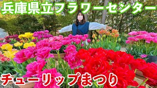 兵庫県立フラワーセンターの花がキレイでおすすめ！4月はチューリップまつり【デート】【スタバ】