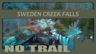 584 Sweden Creek Natural Area hike of all natural Swedish style action