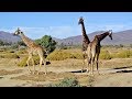 Road trip in South Africa, Lesotho and Swaziland