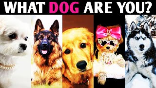 WHAT DOG ARE YOU? Aesthetic Dog Breeds Personality Test - Pick One Magic Quiz