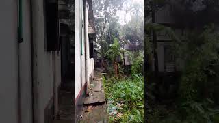 অসময়ের বৃষ্টি কতযে যন্ত্রণার বলা বাহুল্য ।