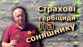 Страхові гербіциди на соняшнику.