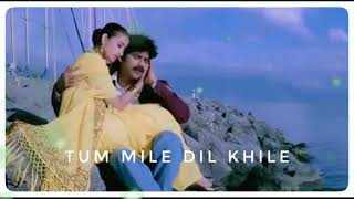Tum Mile Dil Khile | Criminal Movie | Kumar Shanu, Alka Yagnik, Chitra | lofiload