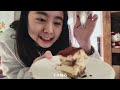 weekly vlog ● 大台北人的農曆新年🧧 10道超讚的年菜🥢 奶奶的年菜大採購實力一流 outlet人潮洶湧🛒 吃超飽的過年🥄 年貨大街超有氣氛