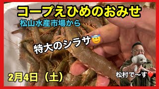 松山市 新居浜市 今治市 スーパー おすすめ 野菜 魚 肉 惣菜 新鮮 安い 品揃えがいい　#旬の魚 #サワラ　#ブリ　#シジミ　#タラ　#アコウ　#アコヤ貝　#牡蠣