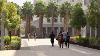 Experience NYU Abu Dhabi